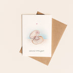 The Baby Bonanza Bundle